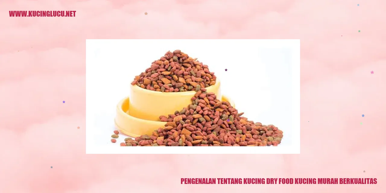 Makanan Kering Kucing