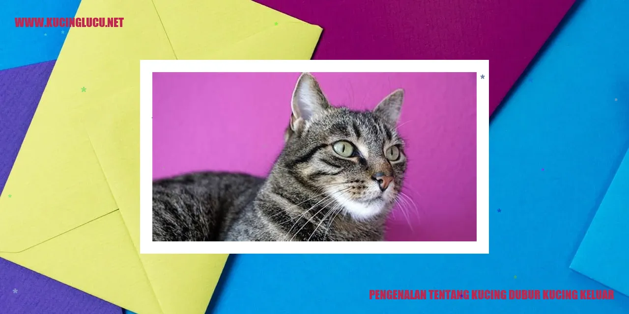 Gambar Kucing