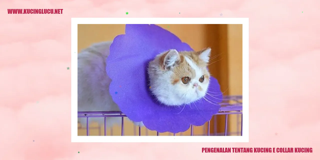 Gambar e-collar kucing