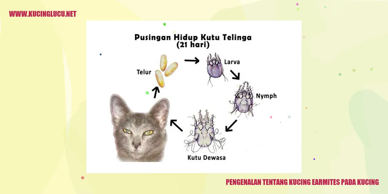 Gambar Kucing dengan earmites