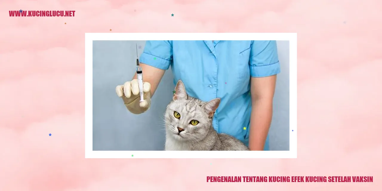 Kucing Efek Kucing Setelah Vaksin