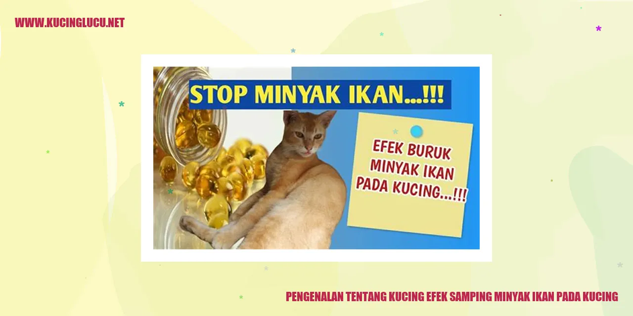 gambar kucing