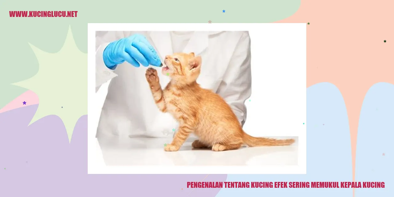Gambar kucing yang menggemaskan