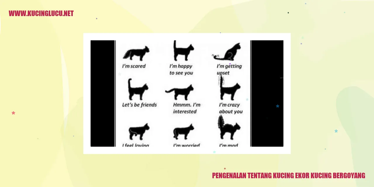 Gambar Kucing Ekor Kucing Bergoyang