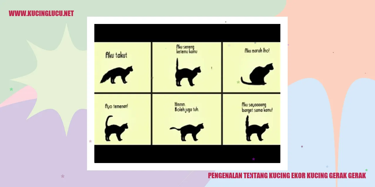 Gambar kucing ekor kucing gerak-gerak