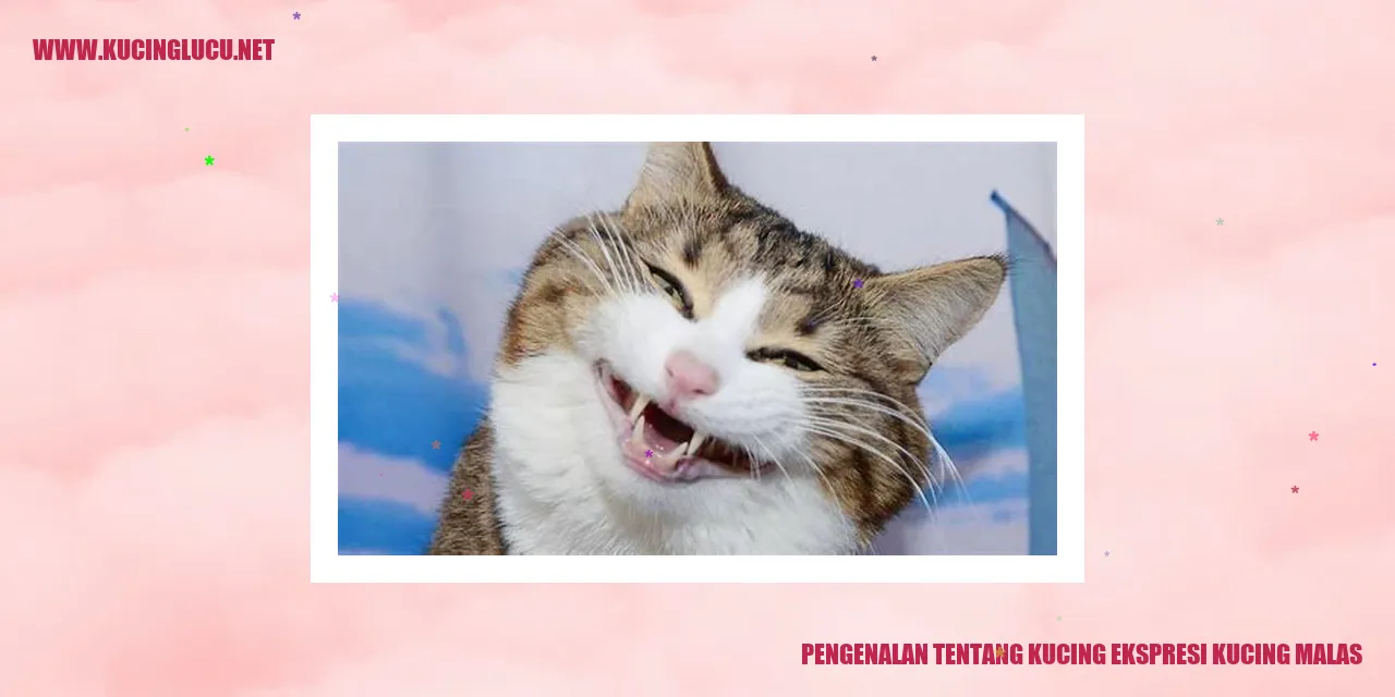 Gambar Kucing Malas