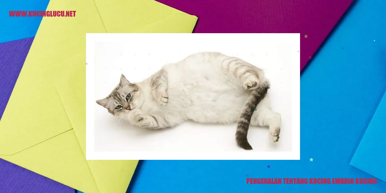 Kucing Embrio