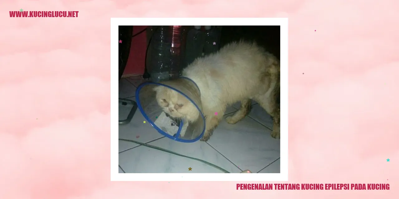 Kucing Epilepsi