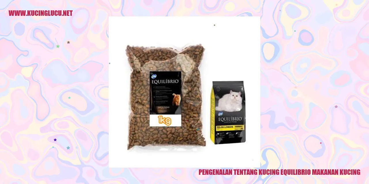 Kucing Equilibrio Makanan Kucing