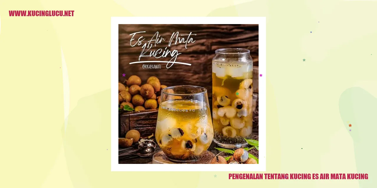 Kucing Bulu Putih Es Air Mata Kucing
