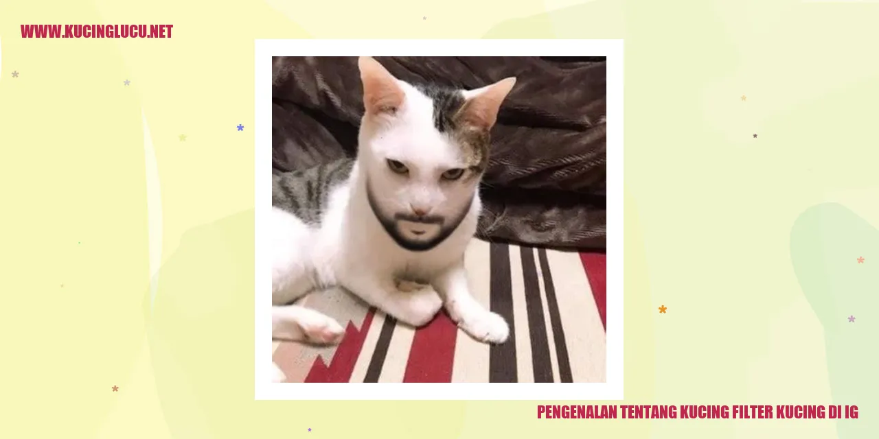 Gambar Kucing Filter di Instagram