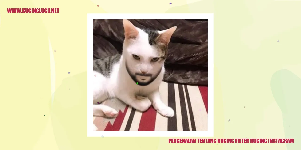 Gambar Kucing Instagram