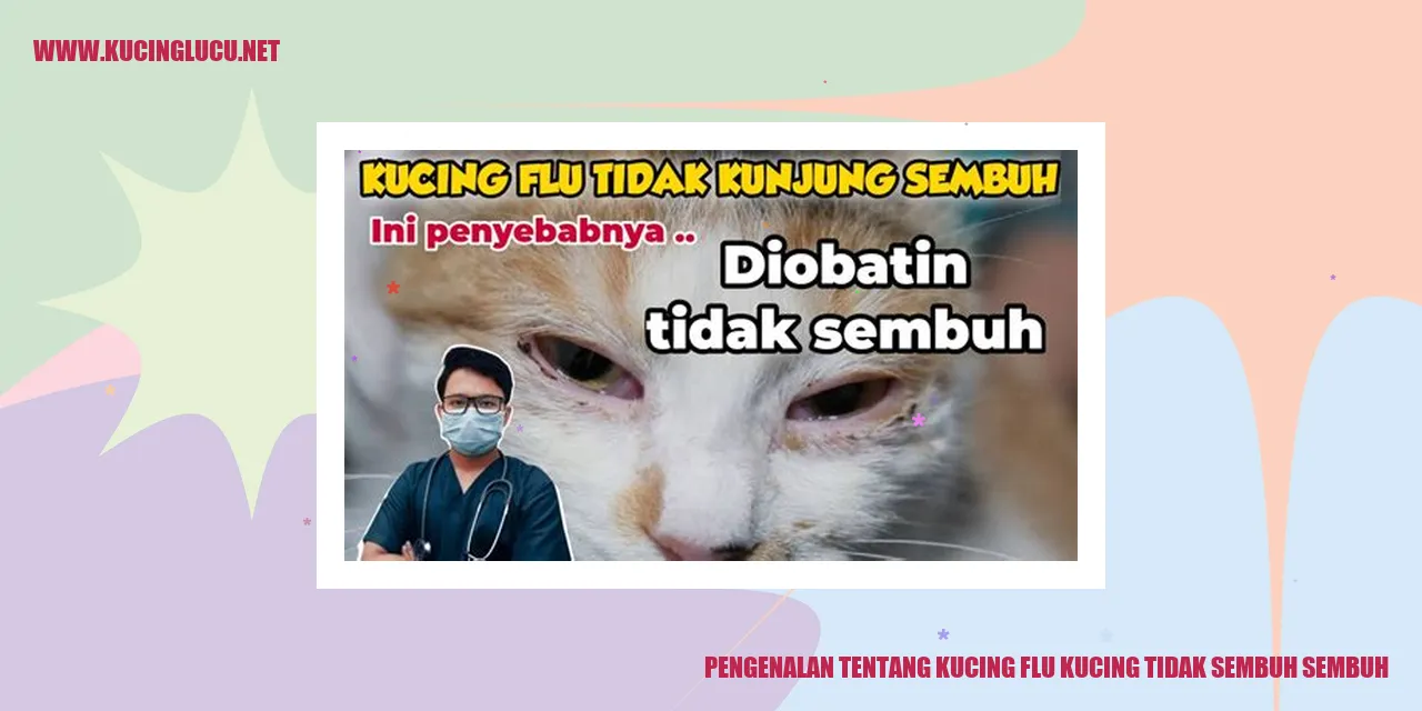 Pengenalan tentang Kucing flu kucing tidak sembuh sembuh