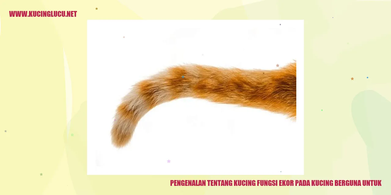 Gambar Kucing