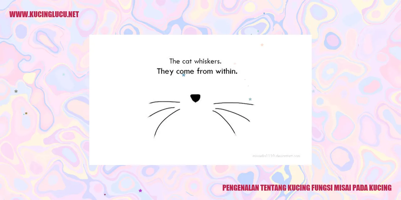 Kucing dengan misai
