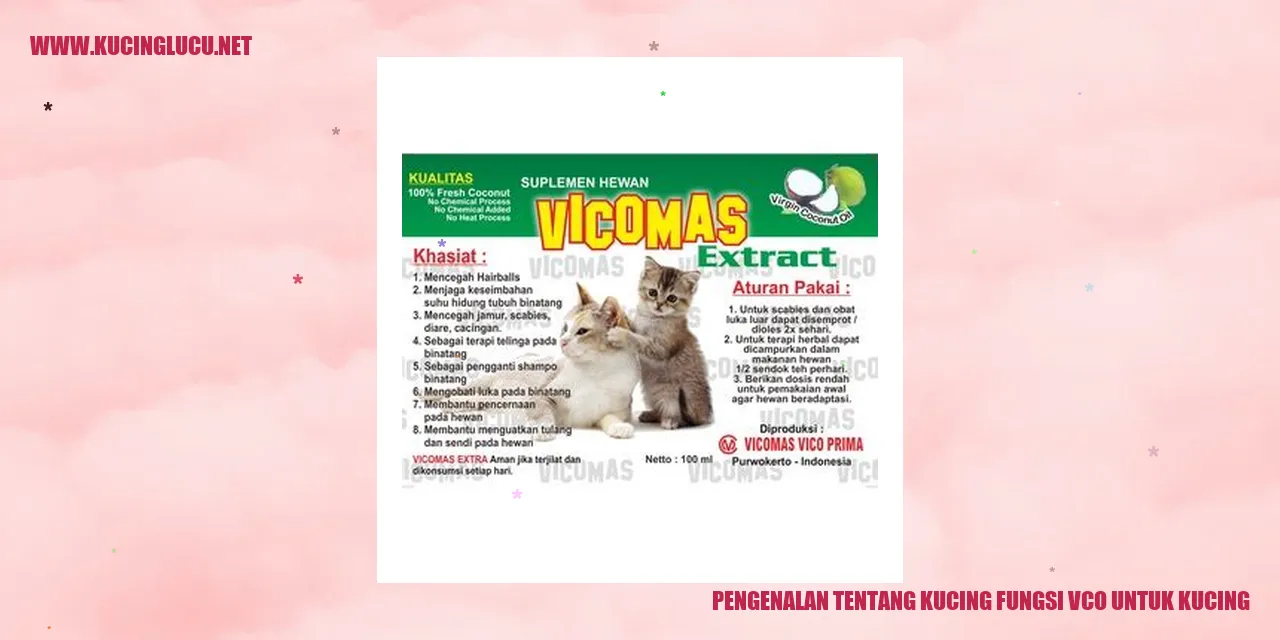 Kucing yang Menggemaskan