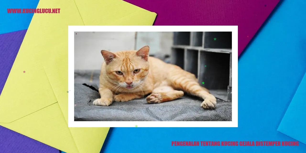 Kucing gejala distemper kucing