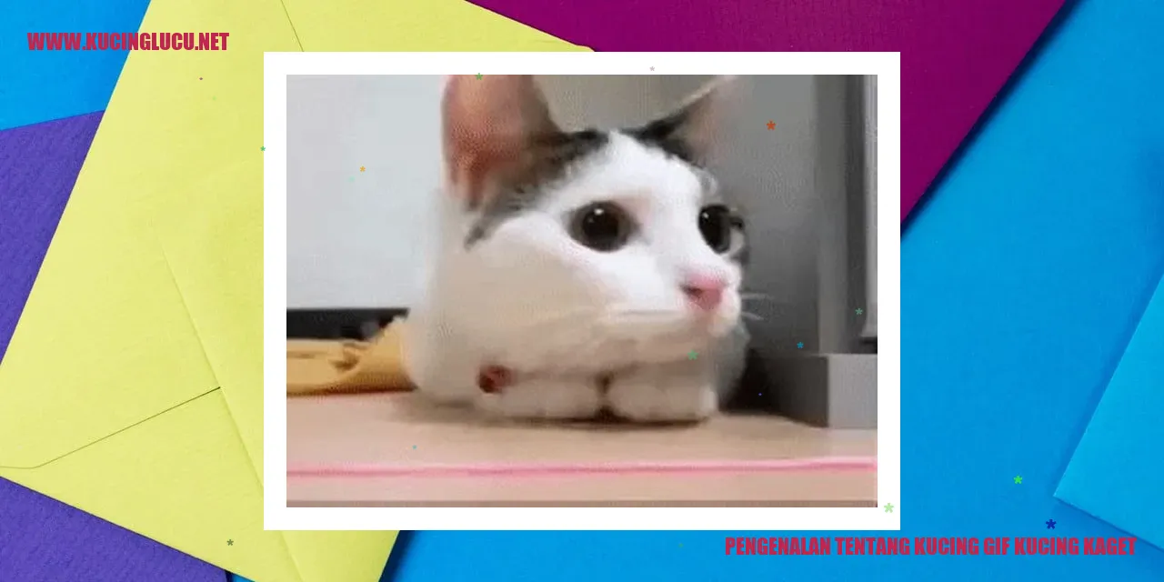 Kucing Kaget