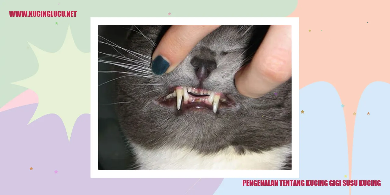 Kucing Gigi Susu Kucing