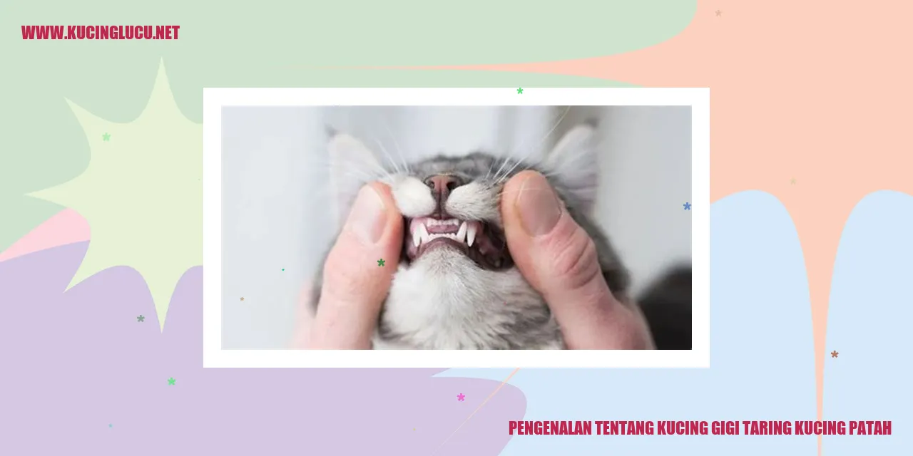 Foto kucing yang memiliki gigi taring patah