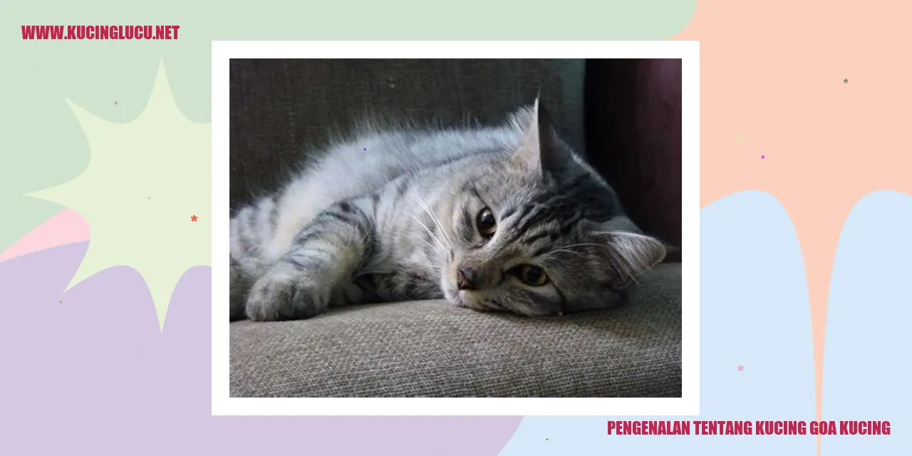 Kucing Goa Kucing