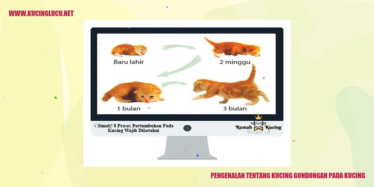 Kucing Gondongan