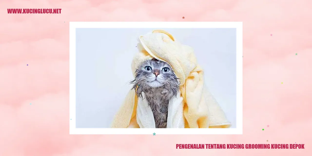 Grooming Kucing di Depok