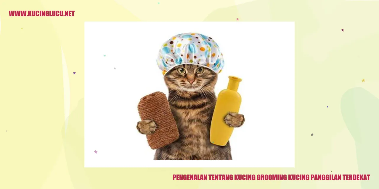 Perawatan Kucing