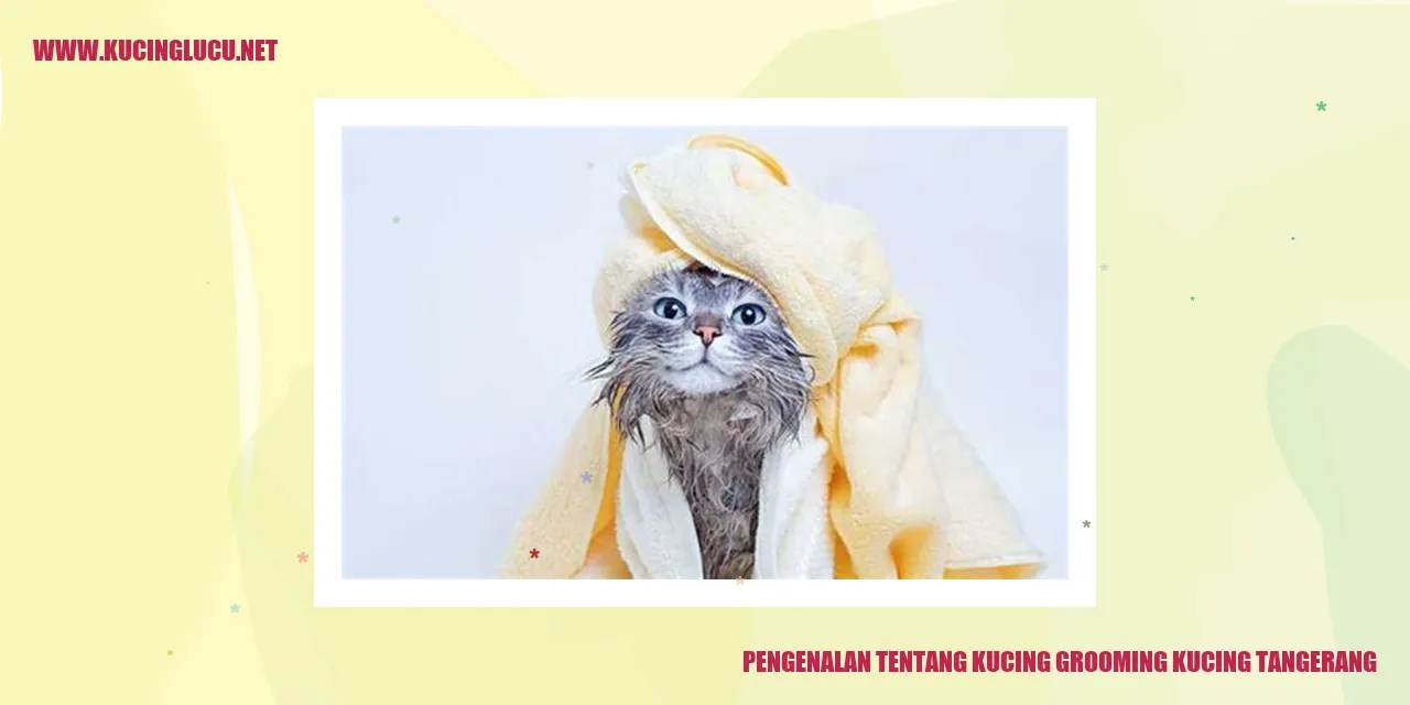 Kucing Grooming di Tangerang