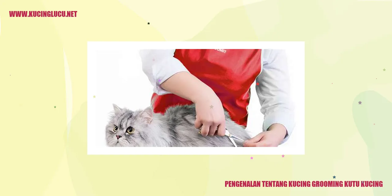 Kucing Grooming Kutu Kucing