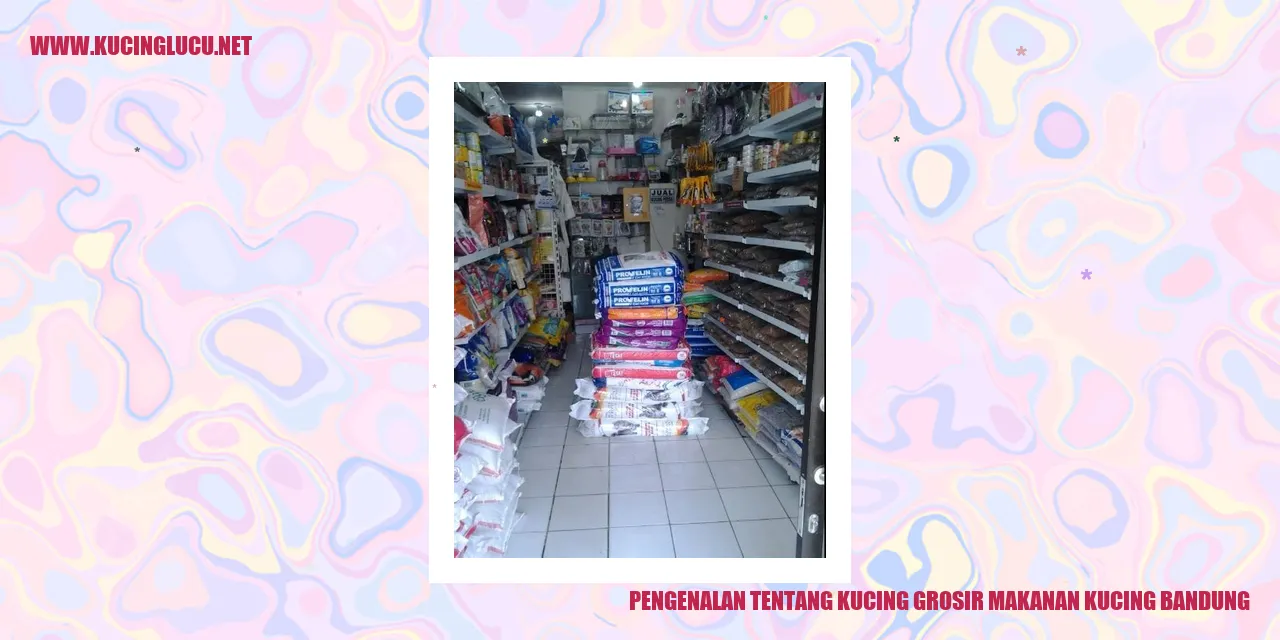 Gambar Makanan Kucing Grosir di Bandung