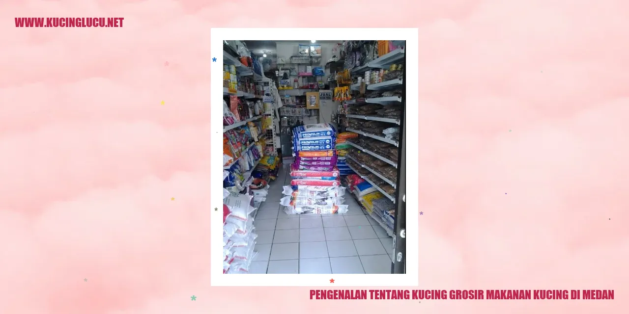Kucing Munchie