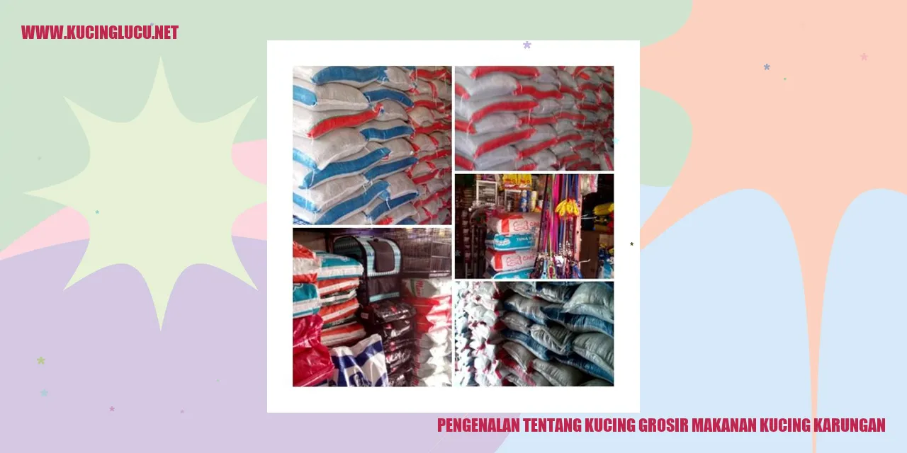 Kucing grosir makanan kucing karungan