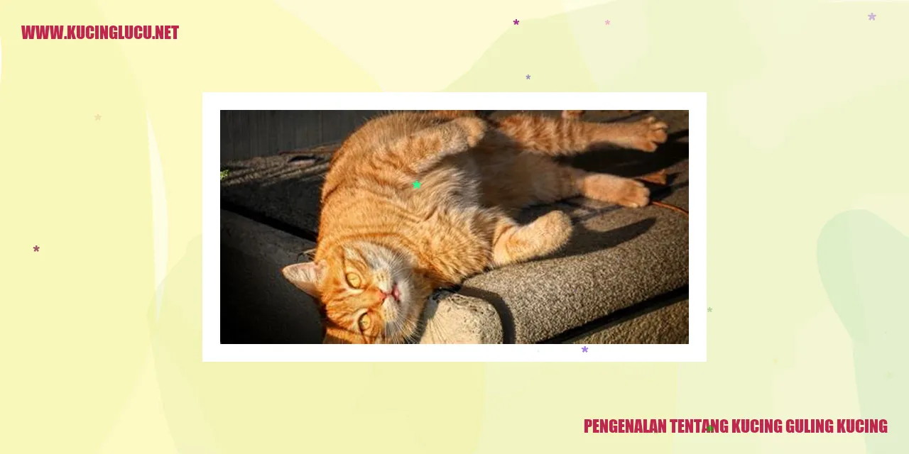 Kucing guling kucing