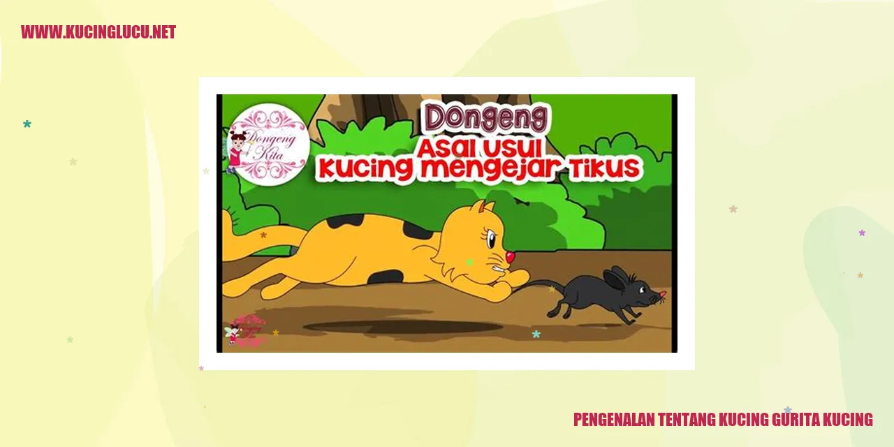 Gambar Kucing Gurita Kucing