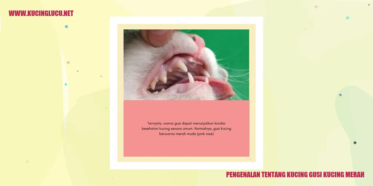 Kucing gusi kucing merah
