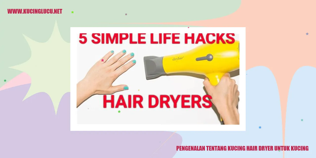 Kucing Hair Dryer