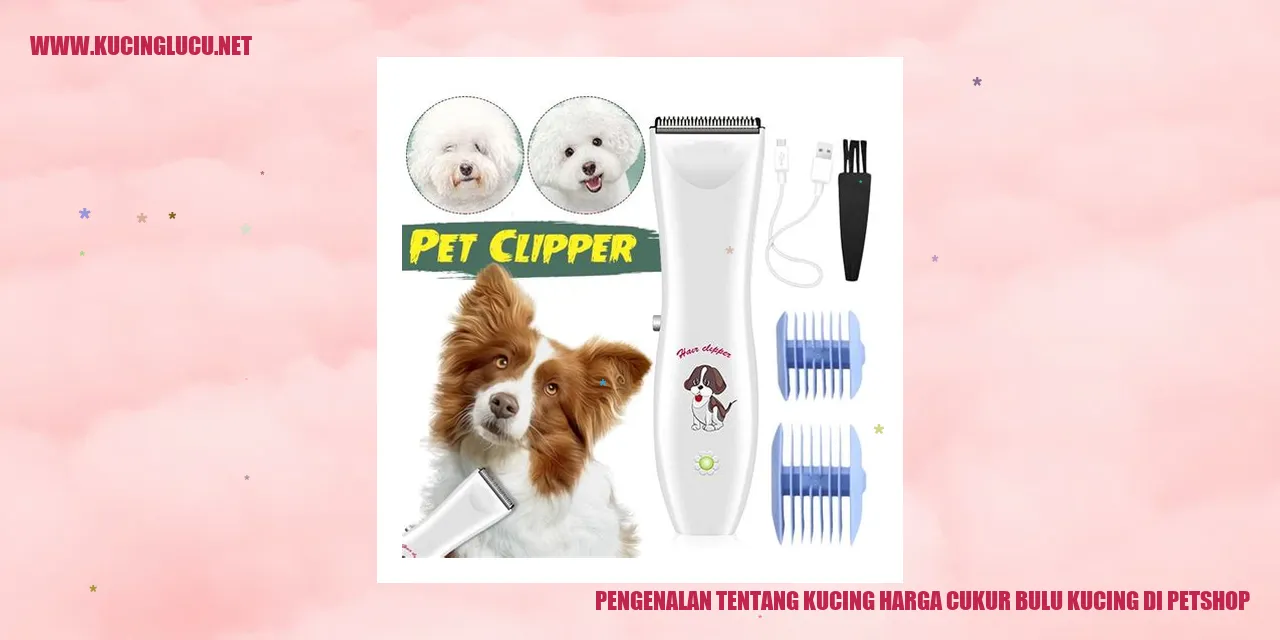 Kucing yang sedang mendapatkan perawatan pemotongan bulu di petshop
