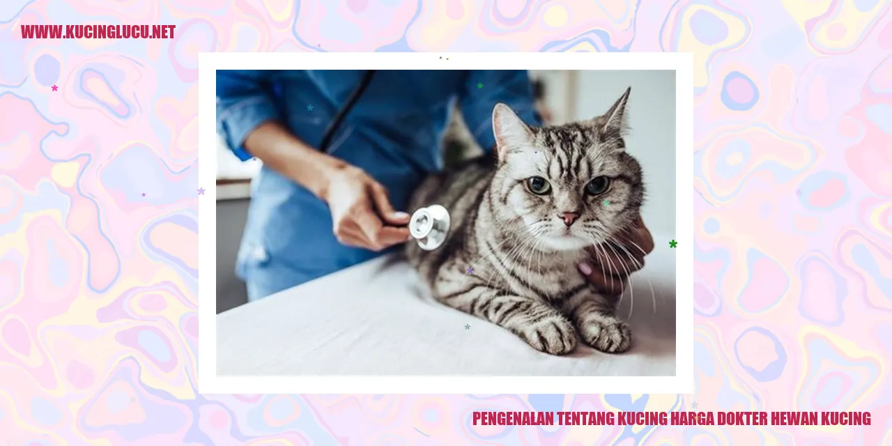 Gambar kucing