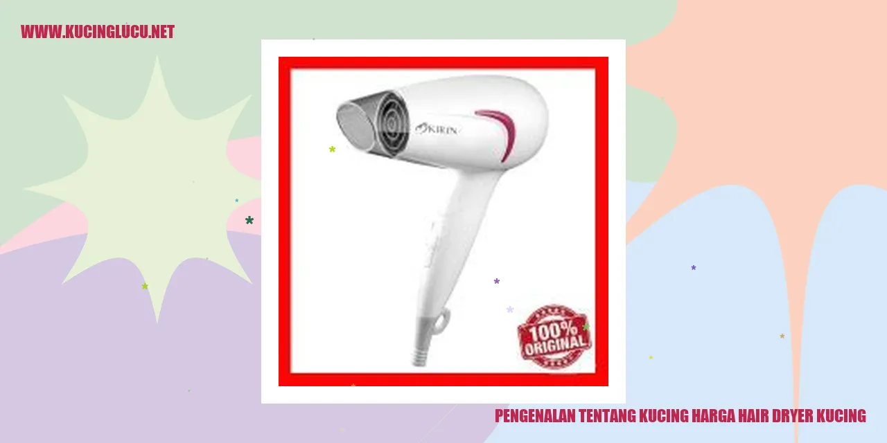 Gambar seekor kucing yang sedang mengeringkan bulu dengan hair dryer
