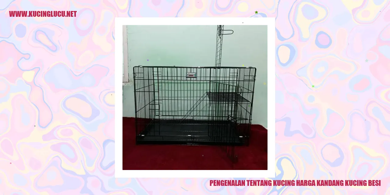 Kucing dan Harga Kandang Kucing Besi