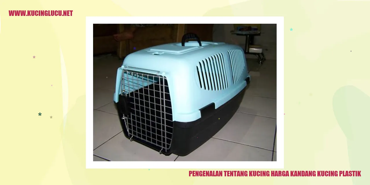Kucing dan kandang kucing plastik