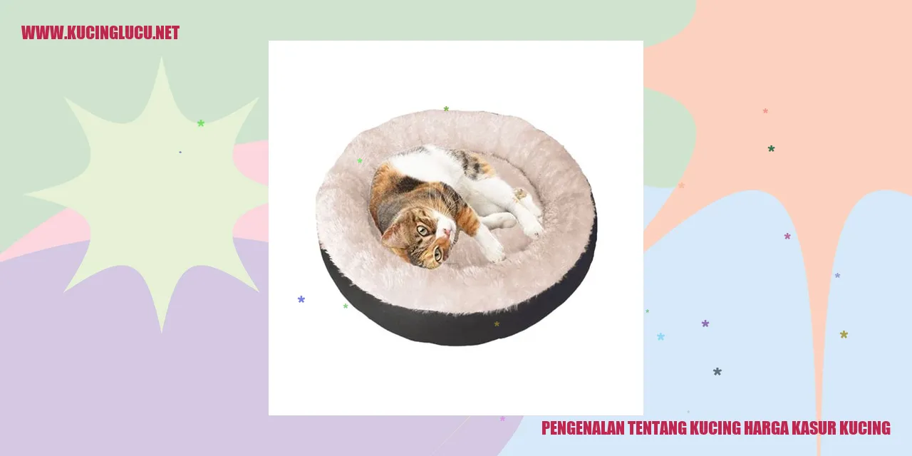 Gambar Kucing Menggemaskan