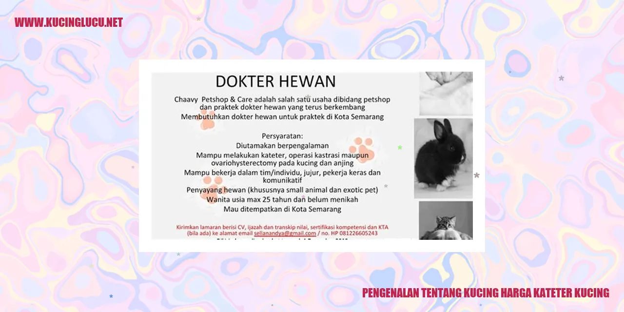 Kucing Menggunakan Kateter