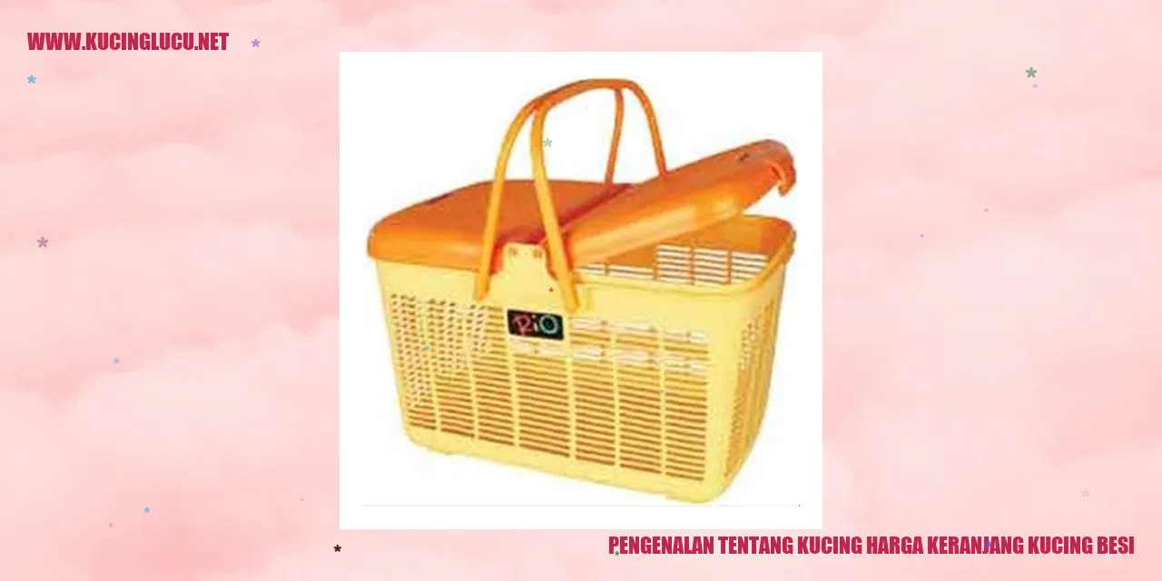 Gambar kucing
