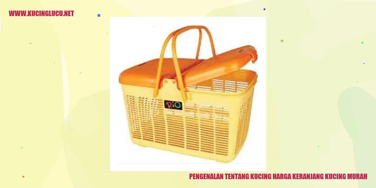 Gambar Kucing