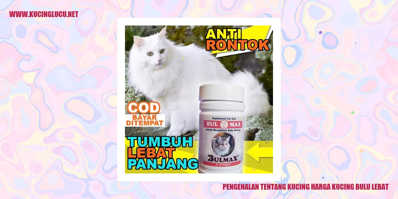 Gambar Kucing dengan Bulu Lebat