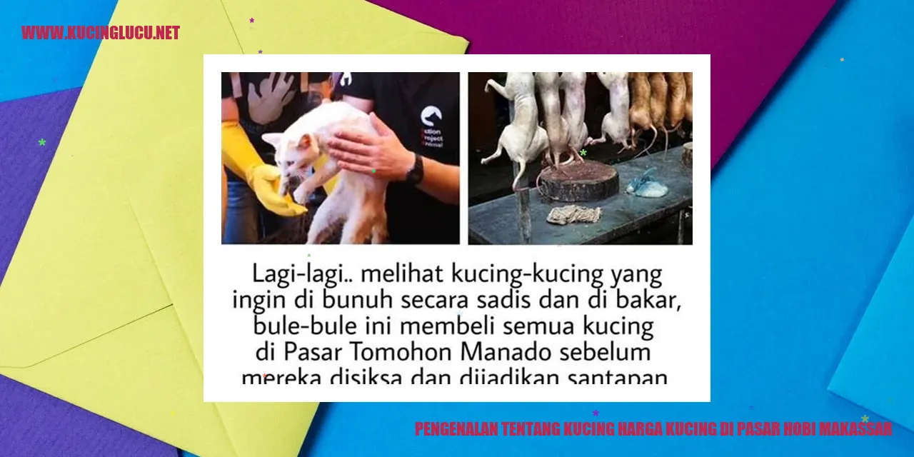 Kucing di Pasar Hobi Makassar