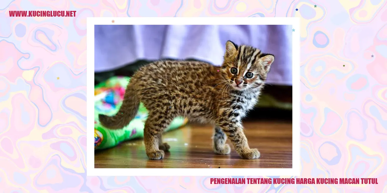 Gambar Kucing Macan Tutul