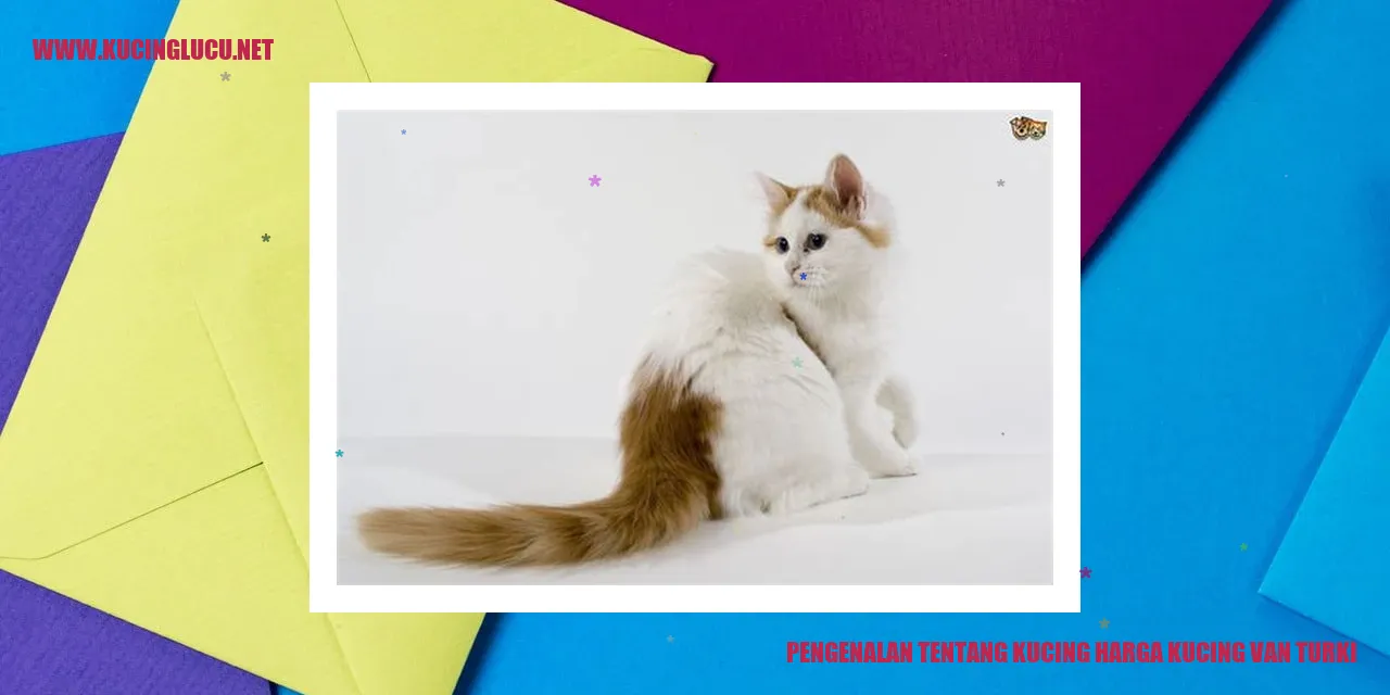 Kucing Van Turki